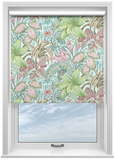 Canopy, Bliss - Roller Blind